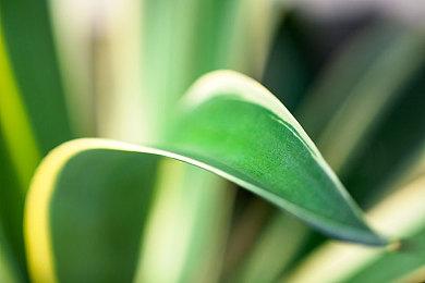 因为Game Pass 去年Xbox损失了3亿美元《使命召唤》销售额